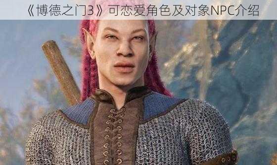 《博德之门3》可恋爱角色及对象NPC介绍