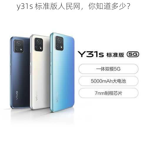 y31s 标准版人民网，你知道多少？