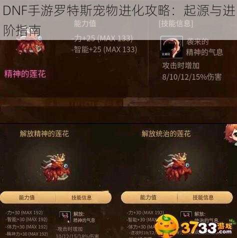 DNF手游罗特斯宠物进化攻略：起源与进阶指南