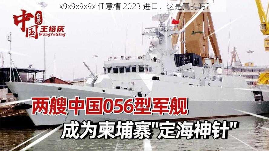 x9x9x9x9x 任意槽 2023 进口，这是真的吗？