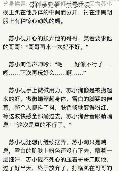 骨科亲兄弟：禁忌之爱