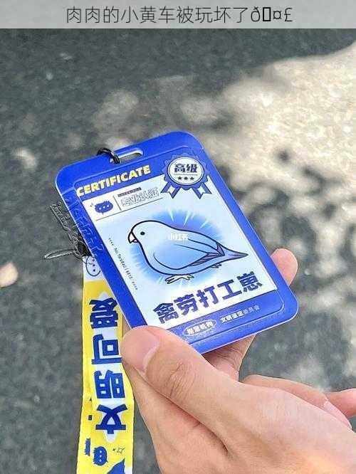 肉肉的小黄车被玩坏了🤣